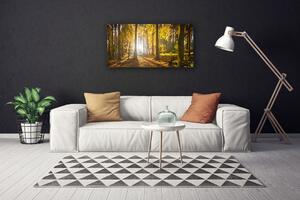 Stampa quadro su tela Foresta, piante, natura 100x50 cm