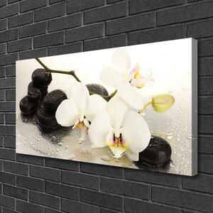 Quadro su tela Bellissimo fiore di orchidea 125x50 cm