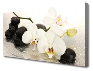 Quadro su tela Bellissimo fiore di orchidea 125x50 cm