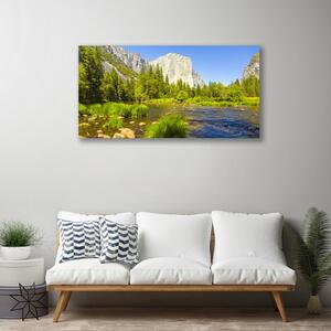 Quadro su tela Natura della foresta della montagna del lago 100x50 cm