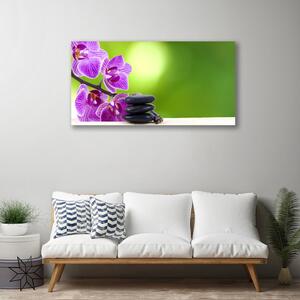 Quadro stampa su tela Fiori di orchidee verdi 100x50 cm