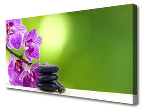 Quadro stampa su tela Fiori di orchidee verdi 100x50 cm