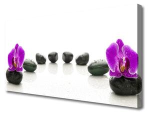 Quadro su tela Fiore di ciottoli di orchidee 100x50 cm