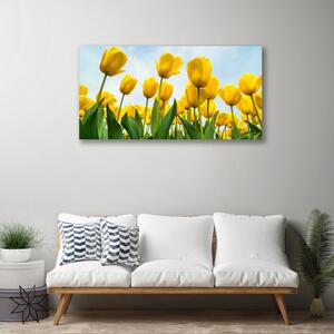 Quadro stampa su tela Tulipani, fiori, piante 100x50 cm