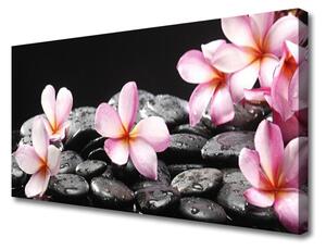 Quadro su tela Fiore di Plumeria sul muro 100x50 cm