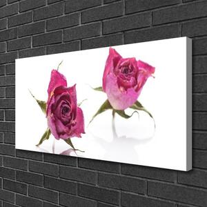 Quadro su tela Rose, fiori, piante 125x50 cm