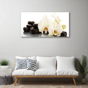 Quadro su tela Fiore di orchidea bianca 100x50 cm