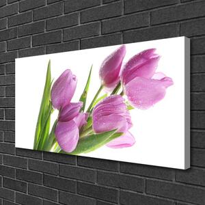 Stampa quadro su tela Tulipani, fiori, piante 100x50 cm