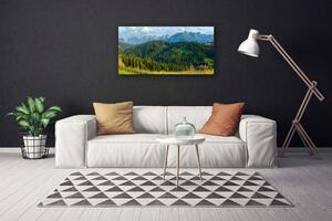Foto quadro su tela Natura della foresta di montagna 100x50 cm