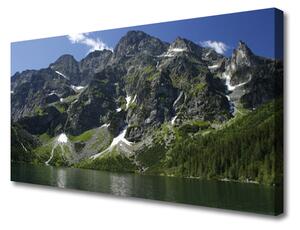 Quadro su tela Montagna del paesaggio del lago della foresta 100x50 cm