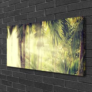 Quadro su tela Foresta, palme, natura 100x50 cm