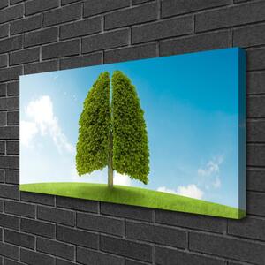 Quadro su tela Erba, albero, polmoni, natura 100x50 cm