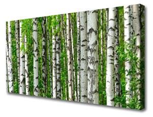 Quadro su tela Foresta, piante, natura 100x50 cm