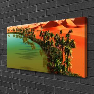 Quadro su tela Lago Palm Desert 100x50 cm