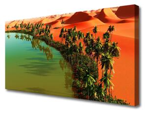 Quadro su tela Lago Palm Desert 100x50 cm
