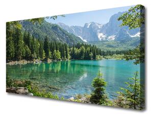 Quadro stampa su tela Foresta Natura Lago Montagne 100x50 cm