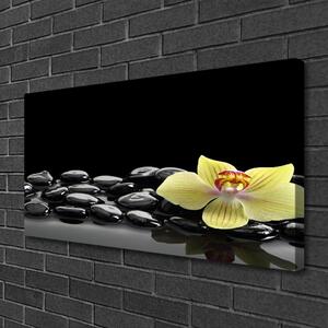 Stampa quadro su tela Fiore da cucina nero 125x50 cm