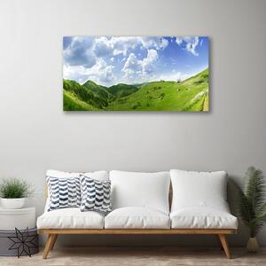 Stampa quadro su tela Campo della natura del prato di montagna 100x50 cm