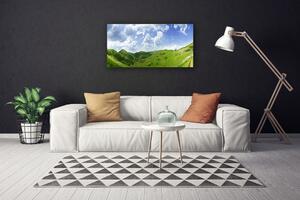 Stampa quadro su tela Campo della natura del prato di montagna 100x50 cm