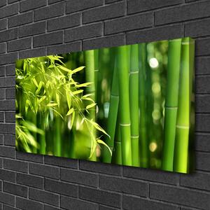 Quadro stampa su tela Foglie di bambù Pianta 100x50 cm