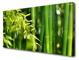 Quadro stampa su tela Foglie di bambù Pianta 100x50 cm