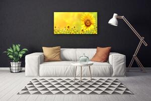 Stampa quadro su tela Pianta di fiori di girasole 100x50 cm