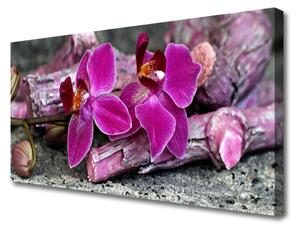 Stampa quadro su tela Legno, fiori, piante, natura 100x50 cm
