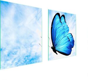 Piastra Di Protezione In Vetrina Per L'erba 85X52 Butterfly