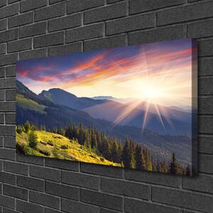 Quadro su tela Paesaggio del sole della montagna della foresta 100x50 cm