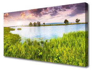 Quadro su tela Erba, Lago. Natura 100x50 cm