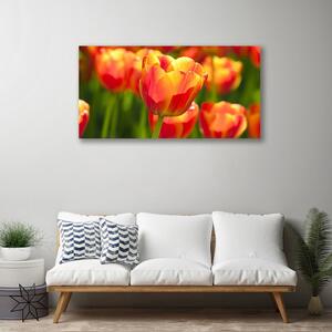 Stampa quadro su tela Tulipani, fiori, piante 100x50 cm
