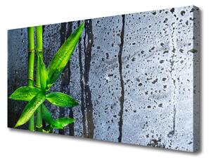 Quadro su tela Foglia di bambù Pianta Natura 100x50 cm