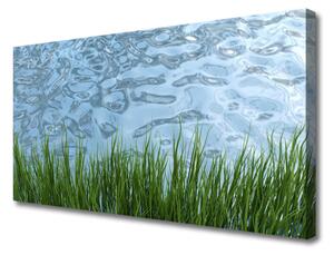 Quadro su tela Erba, acqua, natura 100x50 cm