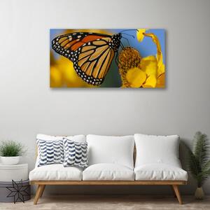 Quadro su tela Natura del fiore della farfalla 100x50 cm