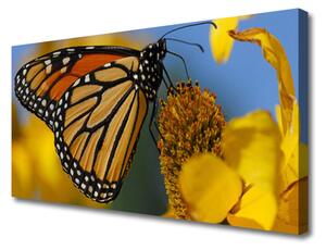 Quadro su tela Natura del fiore della farfalla 100x50 cm