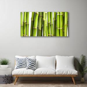 Quadro stampa su tela Bambù Pianta Natura 100x50 cm