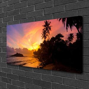 Foto quadro su tela Mare, sole, palme, paesaggio 100x50 cm