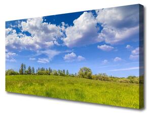 Quadro stampa su tela Paesaggio del cielo dell'erba del prato 100x50 cm