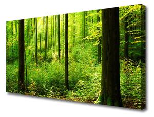 Quadro su tela Foresta Alberi Verdi Natura 100x50 cm