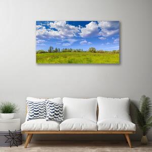 Quadro stampa su tela Paesaggio del cielo dell'erba del prato 100x50 cm