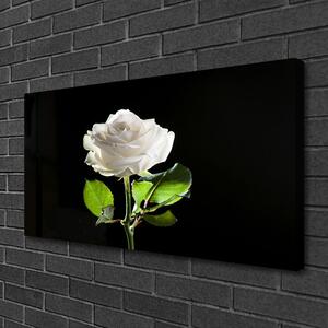 Foto quadro su tela Natura della pianta del fiore della rosa 100x50 cm