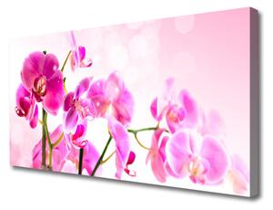 Stampa quadro su tela Fiori, piante, natura 100x50 cm