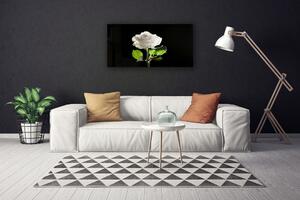 Foto quadro su tela Natura della pianta del fiore della rosa 100x50 cm