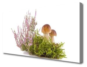 Stampa quadro su tela Funghi, piante, natura 100x50 cm