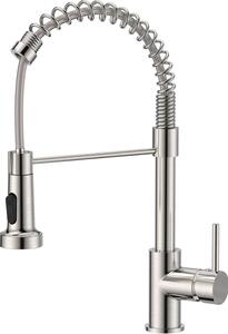 FORIOUS Rubinetto da cucina con doccetta estraibile orientabile a 360°, acciaio inox
