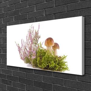Stampa quadro su tela Funghi, piante, natura 100x50 cm