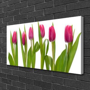 Foto quadro su tela Tulipani, fiori, piante 100x50 cm