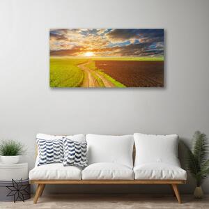 Stampa quadro su tela Il campo, il cielo e il sole La natura 100x50 cm