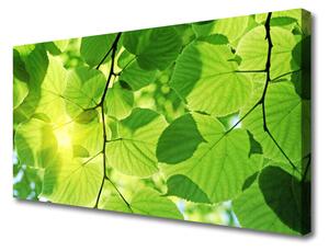 Quadro su tela Foglie di piante naturali 100x50 cm