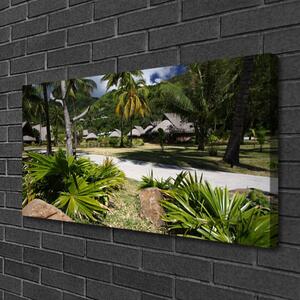 Foto quadro su tela Foglie di palma della natura 100x50 cm